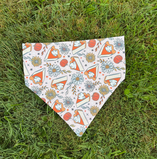 🎃🍂 Fall & Halloween Dog Bandanas – Limited Edition