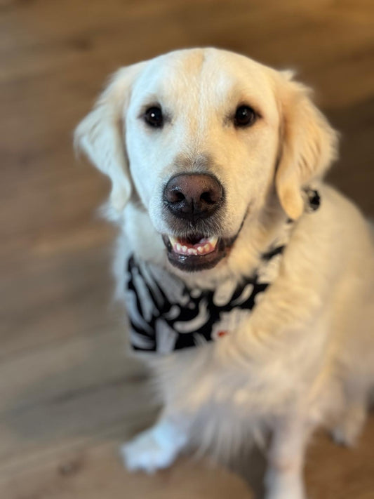 Ghosty Bandana