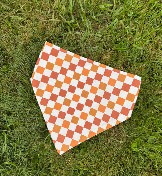 🎃🍂 Fall & Halloween Dog Bandanas – Limited Edition